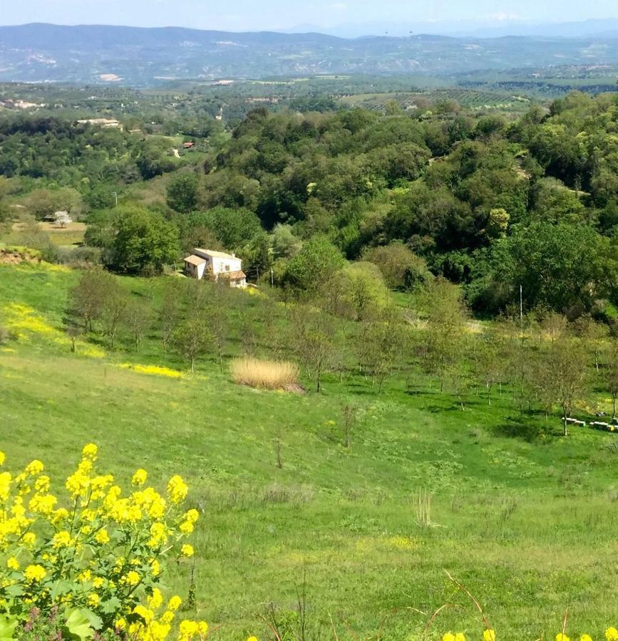 Antico Fienile Villa Celleno Kültér fotó