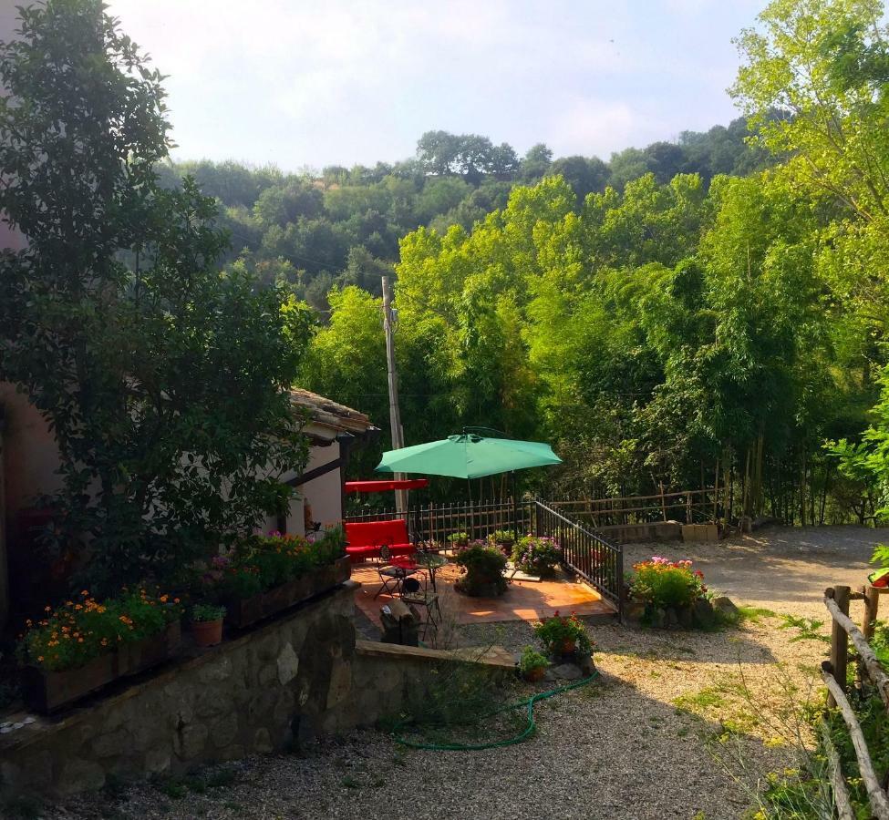 Antico Fienile Villa Celleno Kültér fotó